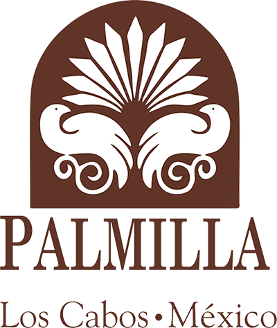 Palmilla 2